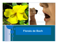 Aula de florais.pdf